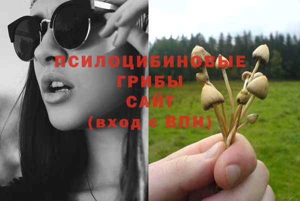 спайс Алексеевка