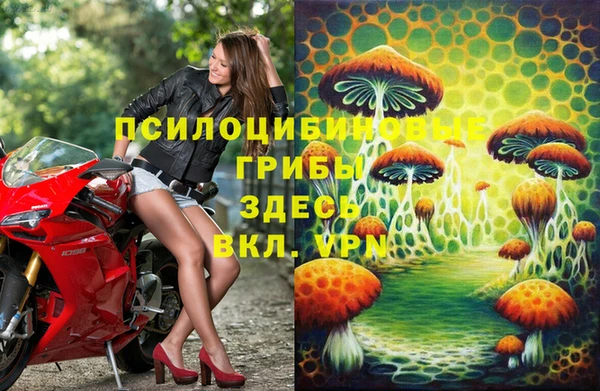 ГАЛЛЮЦИНОГЕННЫЕ ГРИБЫ Алексин