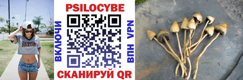 Галлюциногенные грибы мухоморы Зубцов